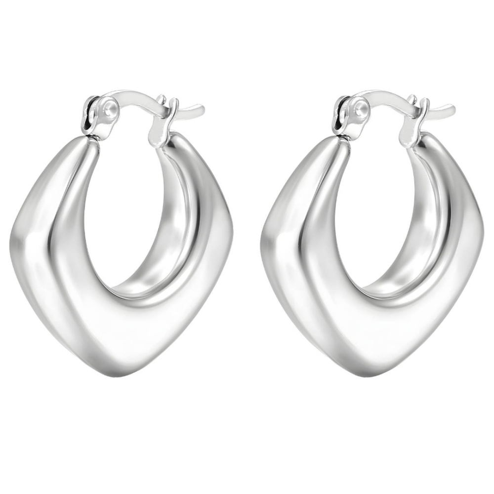STAINLESS STEEL EARRINGS